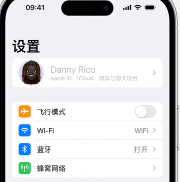 东平appleID维修服务iPhone设置中Apple ID显示为灰色无法使用 