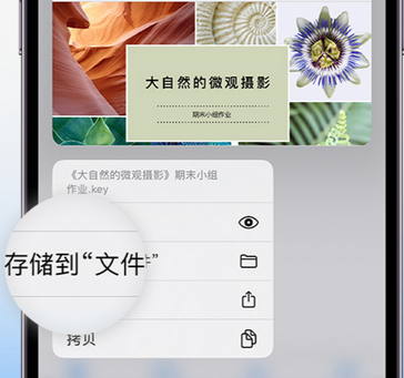 东平apple维修中心分享iPhone文件应用中存储和找到下载文件