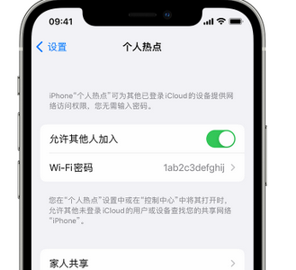 东平apple服务站点分享iPhone上个人热点丢失了怎么办 