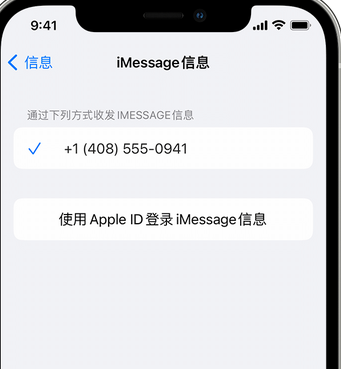 东平apple维修iPhone上无法正常发送iMessage信息 