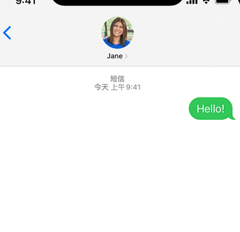 东平apple维修iPhone上无法正常发送iMessage信息