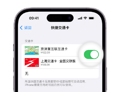 东平apple维修点分享iPhone上更换Apple Pay快捷交通卡手绘卡面 