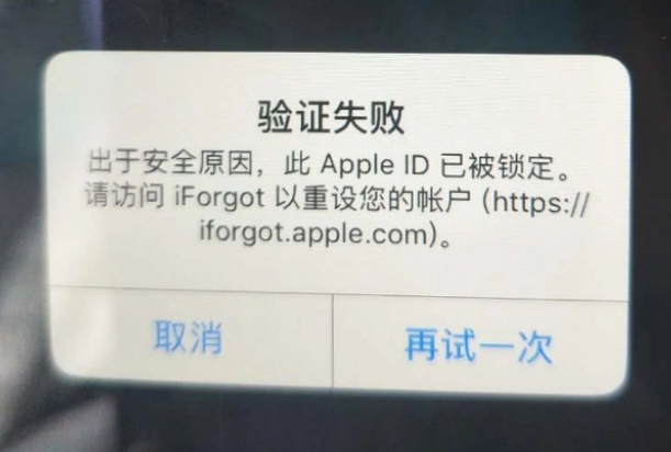 东平iPhone维修分享iPhone上正常登录或使用AppleID怎么办 