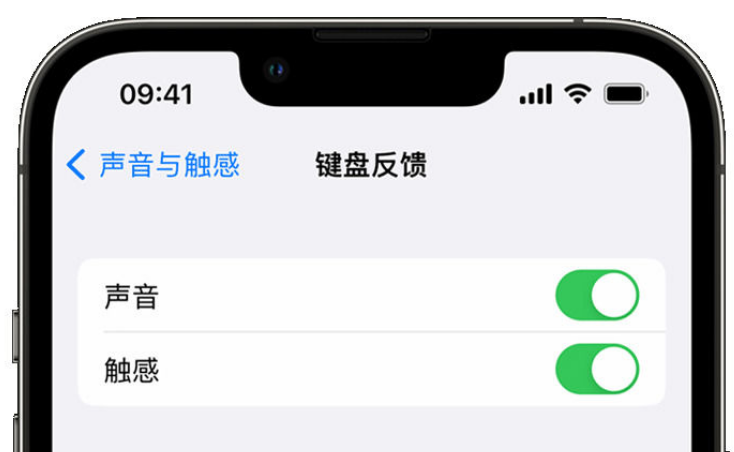 东平苹果手机维修分享iPhone 14触感键盘使用方法 