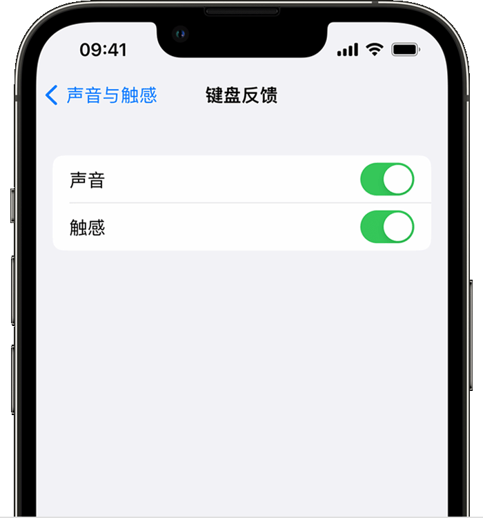 东平苹果14维修店分享如何在 iPhone 14 机型中使用触感键盘 