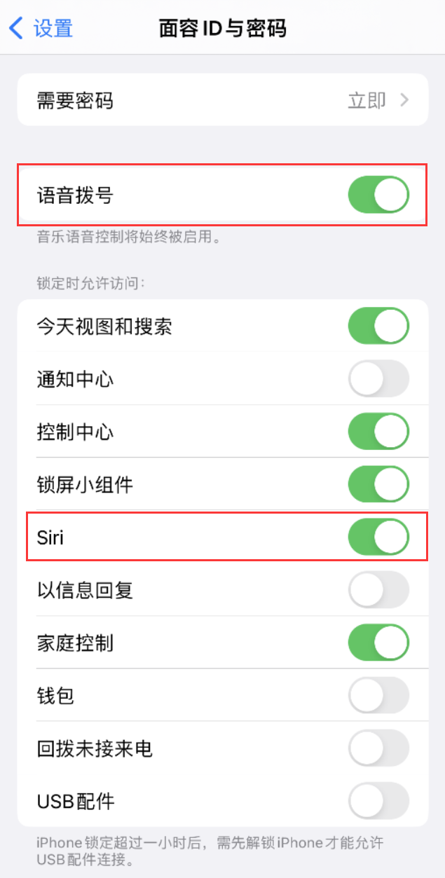 东平苹果维修网点分享不解锁 iPhone 的情况下通过 Siri 拨打电话的方法 