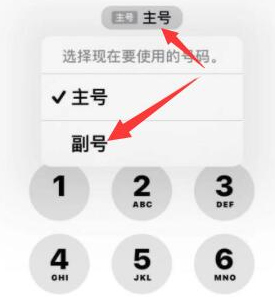 东平苹果14维修店分享iPhone 14 Pro Max使用副卡打电话的方法 