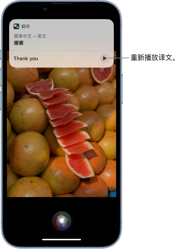 东平苹果14维修分享 iPhone 14 机型中使用 Siri：了解 Siri 能帮你做什么 