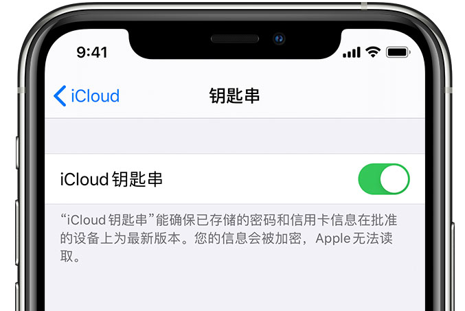 东平苹果手机维修分享在 iPhone 上开启 iCloud 钥匙串之后会储存哪些信息 