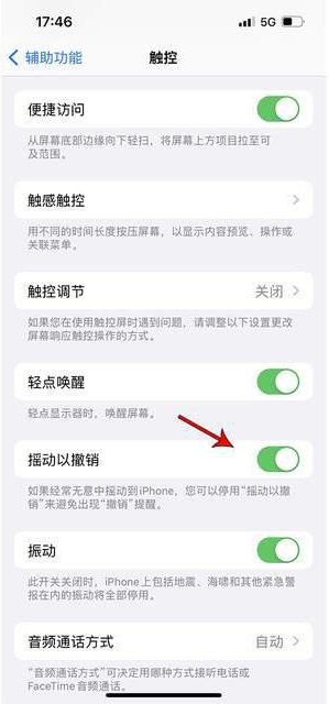 东平苹果手机维修分享iPhone手机如何设置摇一摇删除文字 