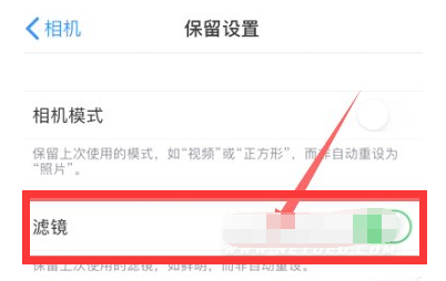 东平苹果13维修分享iPhone13拍照有绿点是怎么回事 