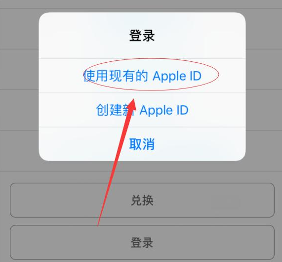 东平苹果手机维修分享两台iPhone设备可以同时登录一个Apple ID吗 