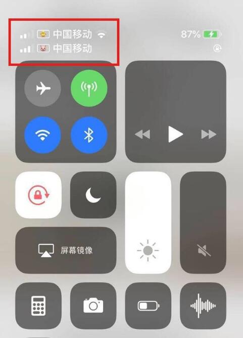 东平苹果手机维修分享为 iPhone 12 双卡设置标签 