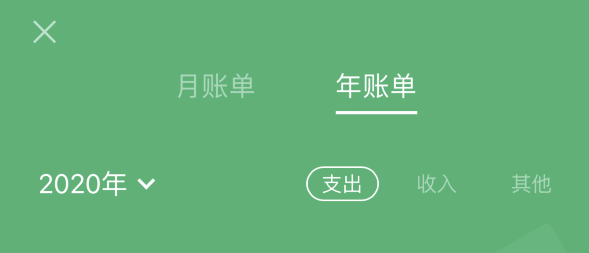东平苹果手机维修分享如何在 iPhone 上查看支付宝和微信年支出账单 